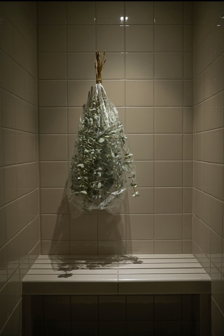 The eucalyptus steam room